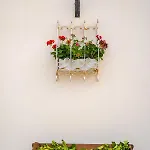 Erminia ベッド・アンド・ブレックファスト Canicattini Bagni